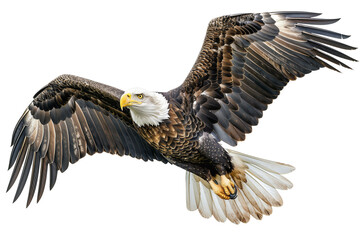 american bald eagle in flight isolated on transparent background. Generative ai