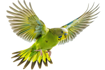 Green parrot in flight isolated on transparent background. Generative ai