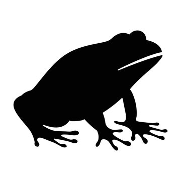Frog silhouette, Frog on the water art on white background, Frog vector illustration