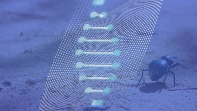 Animation of dna strand spinning over bug on purple background
