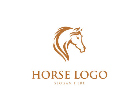Horse head vector silhouette logo design concept template.