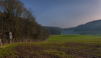 Fototapeta na wymiar Februar, Waldrand Weg, mit Blick über Felder am Morgen