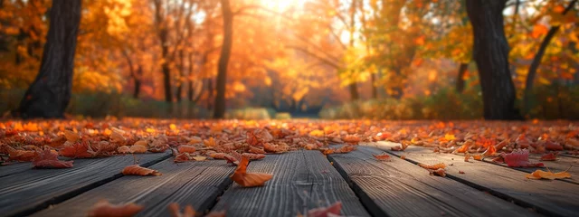Fotobehang Colorful Autumn Park Scene Behind Wooden Flooring  © Creative Valley