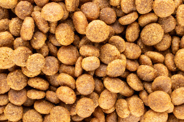 Dog food , macro, top view.