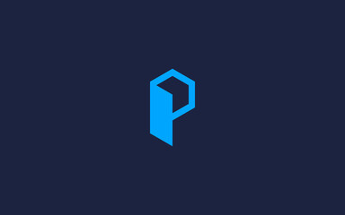 letter p with hexagon logo icon design vector design template inspiration