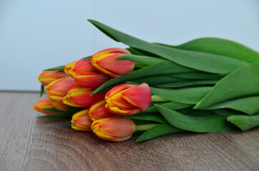 Obraz premium Tulip, tulips bouquet. Present for March 8, International Women's Day. Holiday decor with flowers. Bouquet with colorful tulips. Red tulip, yellow tulip. Holiday floral decor. Spring tulips, bouquet