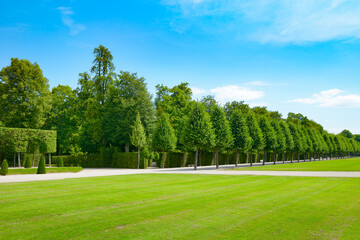 beautiful alley in the park