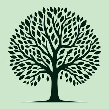 Silueta de un arbol con muchas hojas