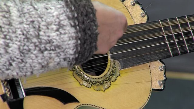 A Man Playing A Typical Chilean Stringed Instrument Called "Chilean Guitarron". Close Up.
