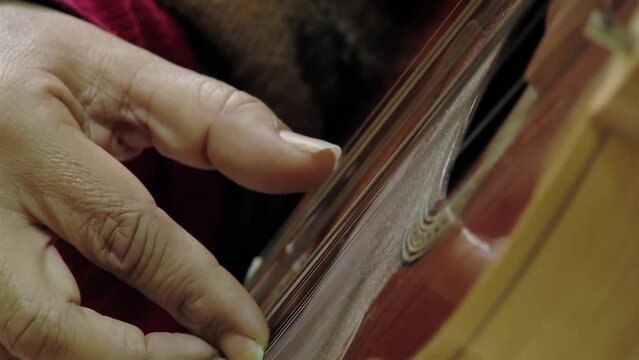 A Man Playing A Typical Chilean Stringed Instrument Called "Chilean Guitarron". Close Up.