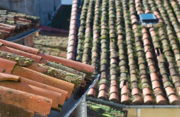 Old weathered roof tiles covered woth moss and lichens