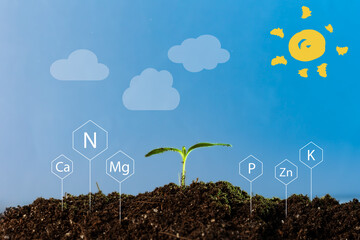 Illustrations depicting chemical elements measuring soil fertility emerge from the dirt surrounding a newly emerged young plant sprout, set against a cartoonish sun and clouds in the sky. - obrazy, fototapety, plakaty