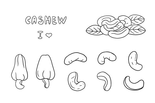 Big set of cashew nuts in doodle style. Nuts. Healthy food. Vector illustration EPS10. Hand drawn. Isolated on white background
