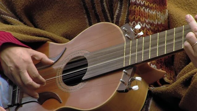 A Man Playing A Typical Chilean Stringed Instrument Called "Chilean Guitarron". Close Up.