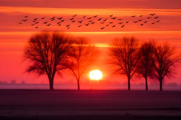 Zelfklevend Fotobehang Glorious Sunrise: The Awakening of Day in Nature's Splendid Colors © Katherine