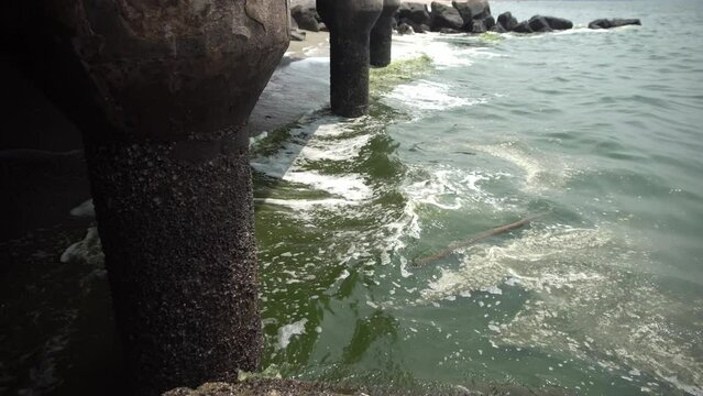 A view of green sea water caused by plankton bloom known to kill marine life, at Bang Saen beach in Chonburi, Thailand . February 28, 2024. 
