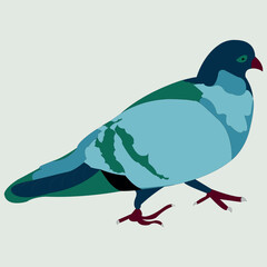 A beautiful, colorful bird. The dove is drawn as a side view, standing on two legs, with its wings tucked to its body.