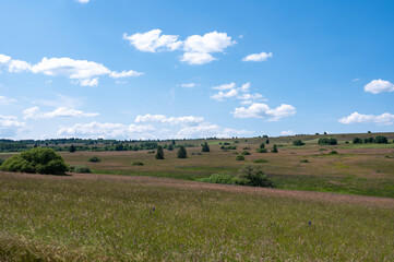 Obraz premium Green landscape with blue sky