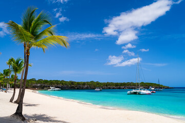 View of Harbor at Catalina Island in Dominican Republic - No People