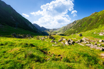 valley of carpathian mountains in morning light. stones on the grassy meadow. fagaras range of romania. beautiful landscape on a sunny summer day