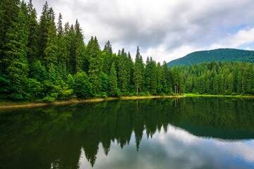 Fototapeta na wymiar lake of synevyr national park in summer. forested hills of carpathian mountains reflecting on the calm water surface. cloudy weather. popular travel destination of ukraine