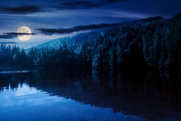 composite night scene of lake among forest. beautiful landscape of carpathian national park synevyr in full moon light
