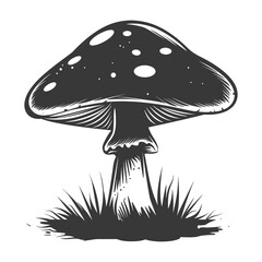 Silhouette mushroom black color only
