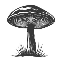Silhouette mushroom black color only