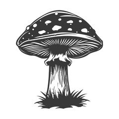 Silhouette mushroom black color only
