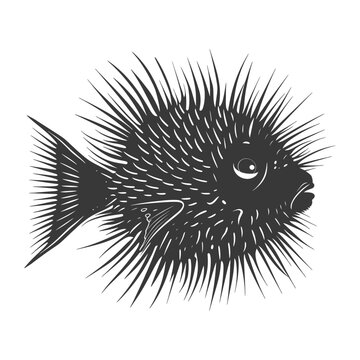 recommend clip art: Silhouette pufferfish animal black color only full body