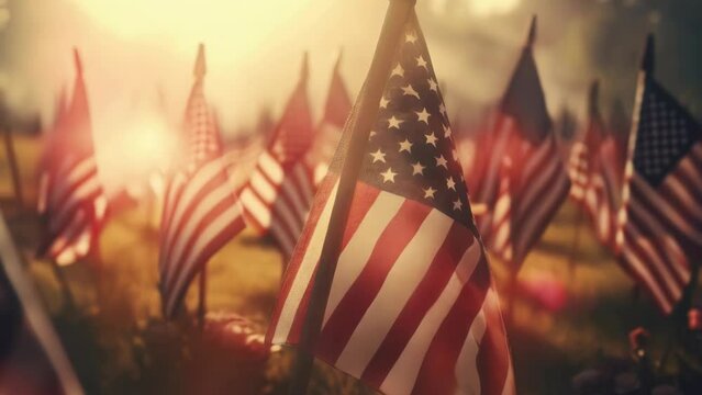 A field of American flags shining in the sun. Suitable for patriotic themes.
