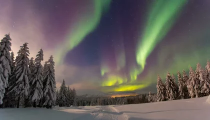 Fototapeten Polarlichter-Nächte: Magische Winterpracht in Lila und Grün © Anita