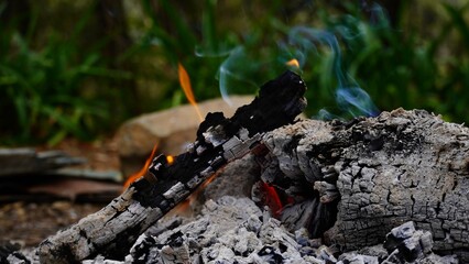 piece of a wood is burning in forest
