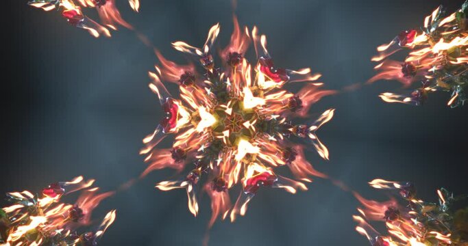 Firey rosette patterns on a dark background