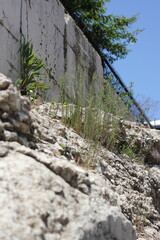 Old concrete wall