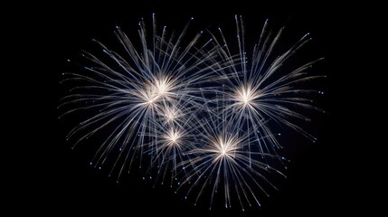 Fototapeta premium Fireworks light up the night sky in a dazzling display.