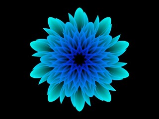blue dahlia flower