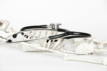 A stethoscope lies on a skeleton on a light background, close-up, diagnostics
