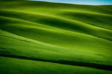 rolling green hills covered in lush,