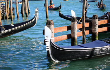 metal prows of traditional Venetian boats called GONDOLAS to transport of tourists