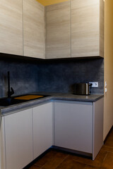 Fototapeta premium modern kitchen interior