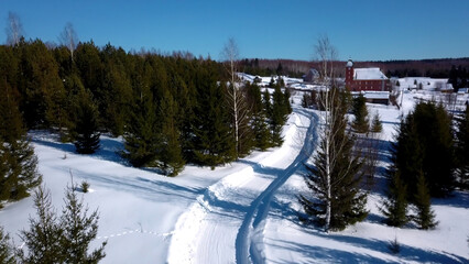 Sunny day in winter forest. Clip. Aerial view of a long road on snow covered ground among green trees.
