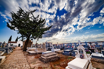 Cemetery with tombs and cypress trees