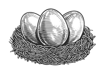Naklejki  Chicken Eggs in nest. Organic farm products. Hand drawn sketch vintage vector illustration