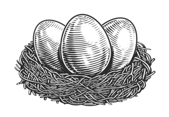Gordijnen Chicken Eggs in nest. Organic farm products. Hand drawn sketch vintage vector illustration © ~ Bitter ~