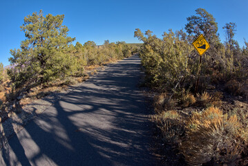 Greenway Trail east of Pima Point at Grand Canyon