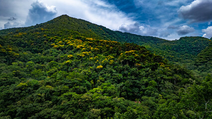 Obraz premium PETAR Mata Atlântica Parque Nacional Cavernas Ecoturismo Preservação Ambiental Natureza Trilhas Aventura Biodiversidade Turismo Sustentável Rios Cascata Flora Fauna Belezas Naturais Caminhadas Drone