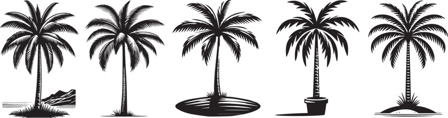 palm trees, black and white vector - obrazy, fototapety, plakaty
