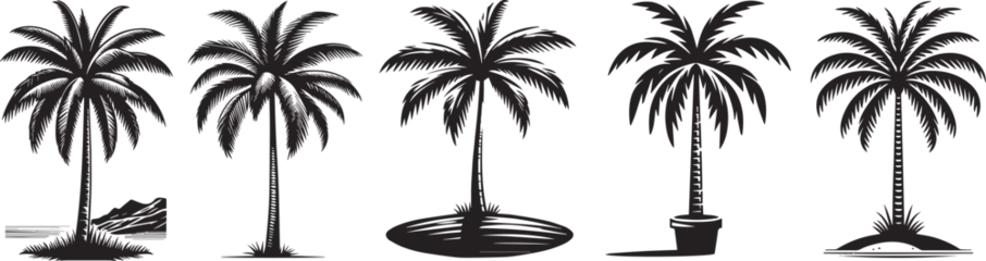 Fotobehang palm trees, black and white vector © Malgo