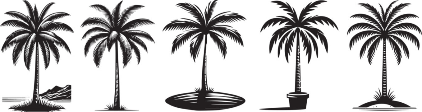 palm trees, black and white vector